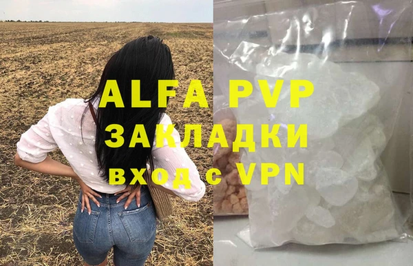 apvp Бородино