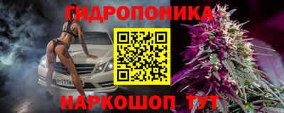 индика Балашиха