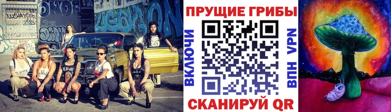 дарнет шоп  Верхняя Салда  Псилоцибиновые грибы мицелий 
