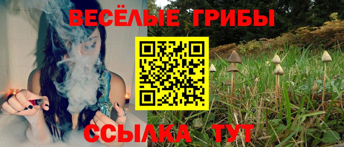 Галлюциногенные грибы мухоморы Верхняя Салда
