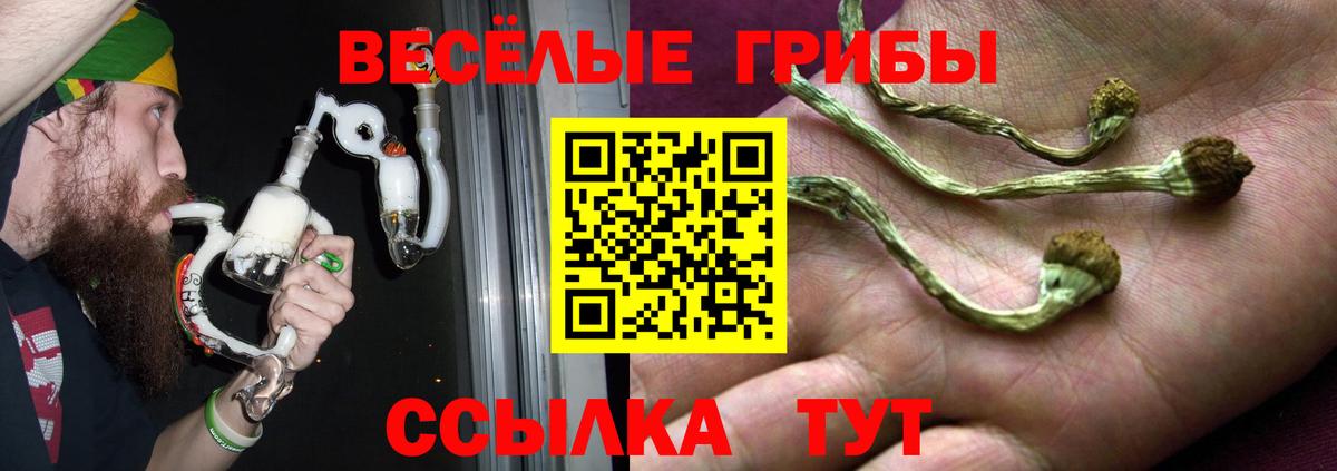 Галлюциногенные грибы Cubensis  Псилоцибиновые грибы мицелий  где продают   Верхняя Салда 